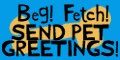 Pet Greeting Cards